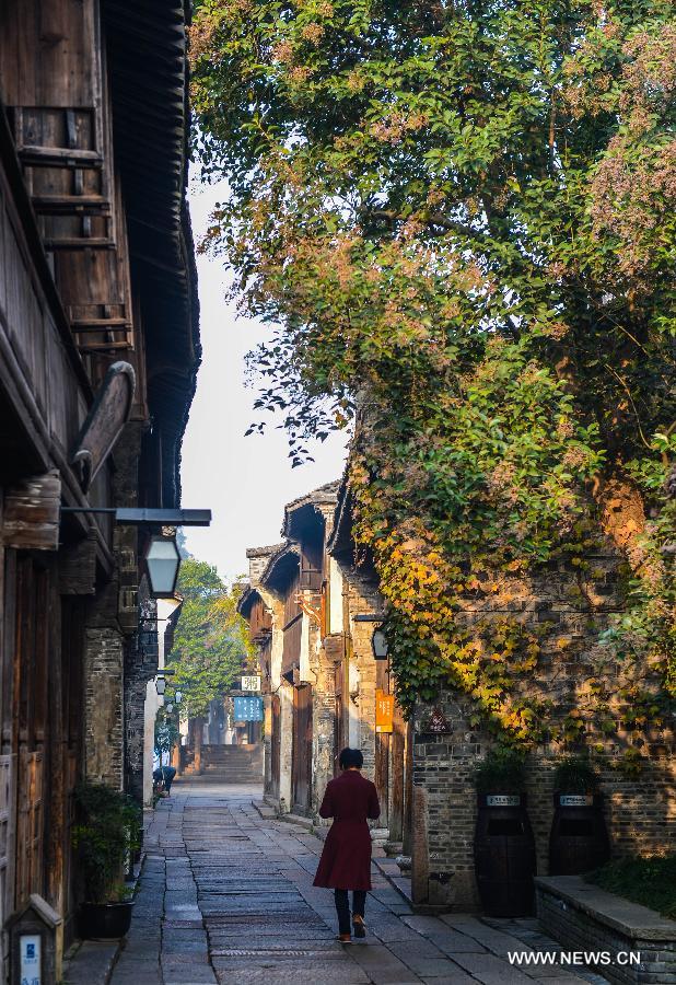 CHINA-ZHEJIANG-WUZHEN-SCENERY(CN)