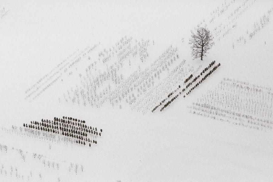 An aerial view of a snow-covered neighborhood in the town of Cheektowaga near Buffalo, New York, November 21, 2014.(Xinhua/Reuters Photo)