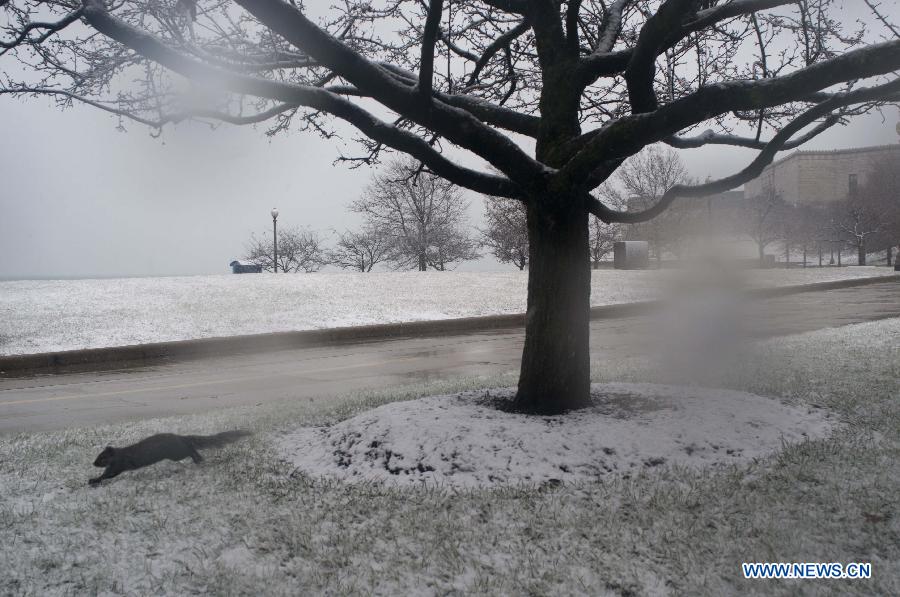 US-CHICAGO-SNOW  