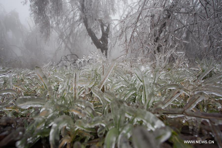 HUNGARY-BUDAPEST-WEATHER-SLEET