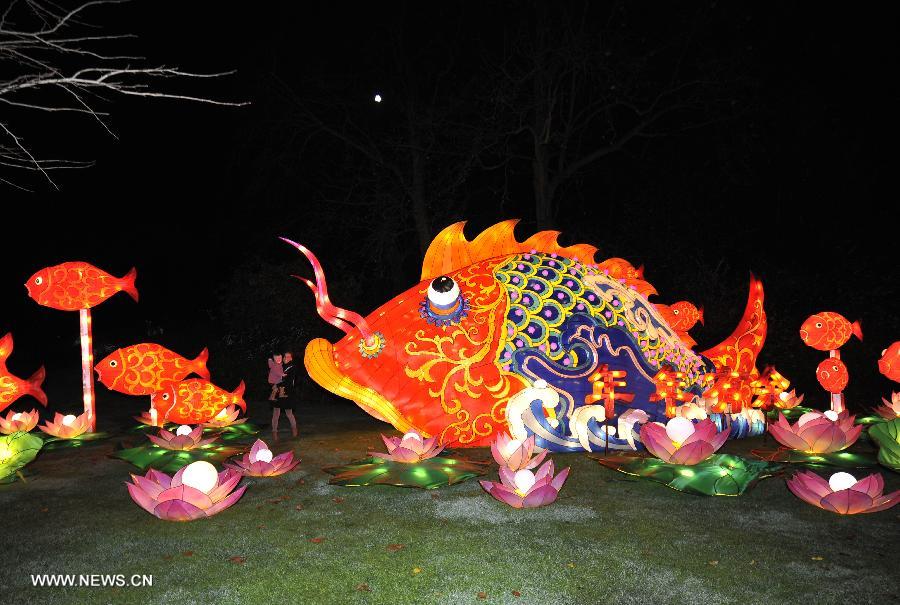 BELGIUM-ANTWERP-ZOO-LIGHT-SHOW-CHINA