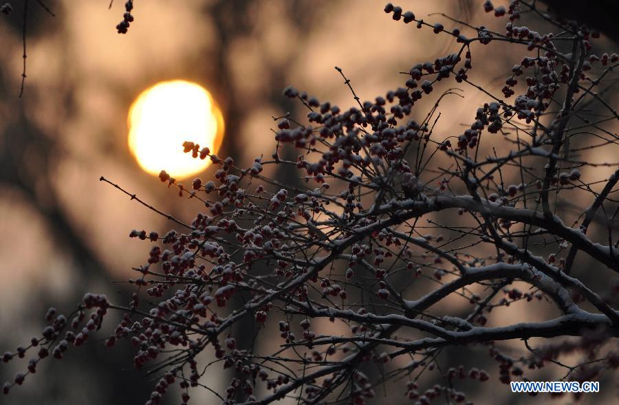 Chengde witnessed the first snowfall this year on Wednesday.