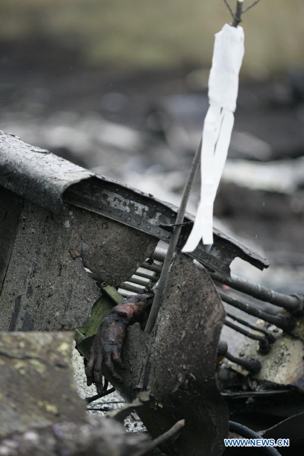 A hand is seen from the debris of MH17 of Malaysian Airlines near the city of Shakhtarsk in Ukraine's Donetsk region, July 18, 2014. 