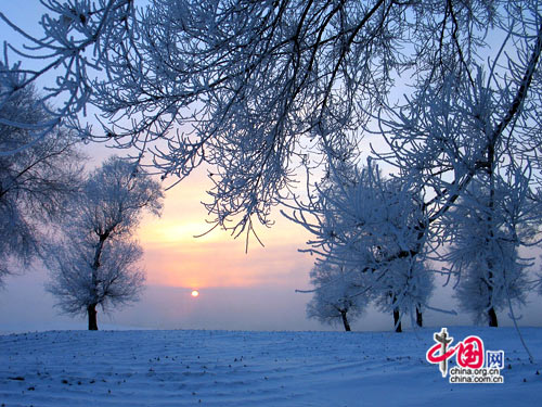 Wusong Island, one of the 'Top 10 ice and snow wonderlands in China' by China.org.cn