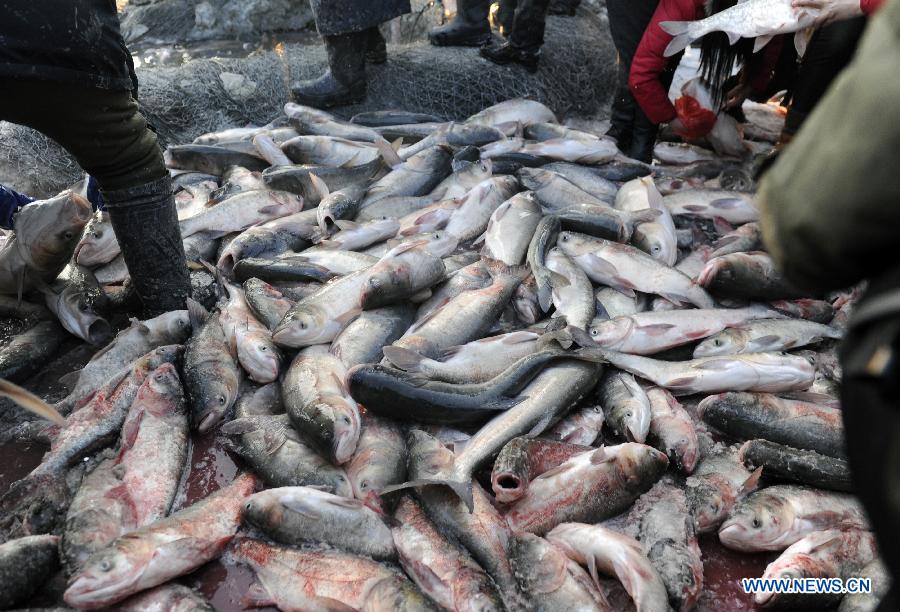 CHINA-JILIN-QAGAN LAKE-WINTER FISHING (CN)