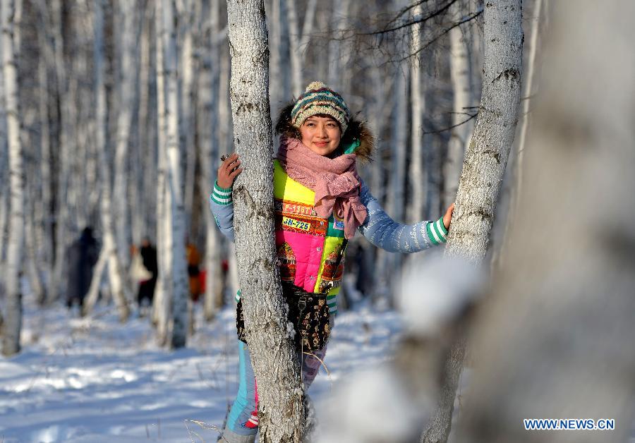 A tourist poses for a photo among birch trees in Genhe of Dahinggan Mountain forest region in north China's Inner Mongolia Autonomous Region, Dec. 24, 2014. 