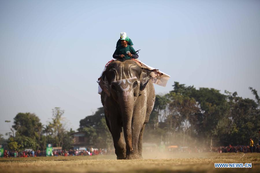 NEPAL-CHITWAN-ELEPHANT FESTIVAL-RACE