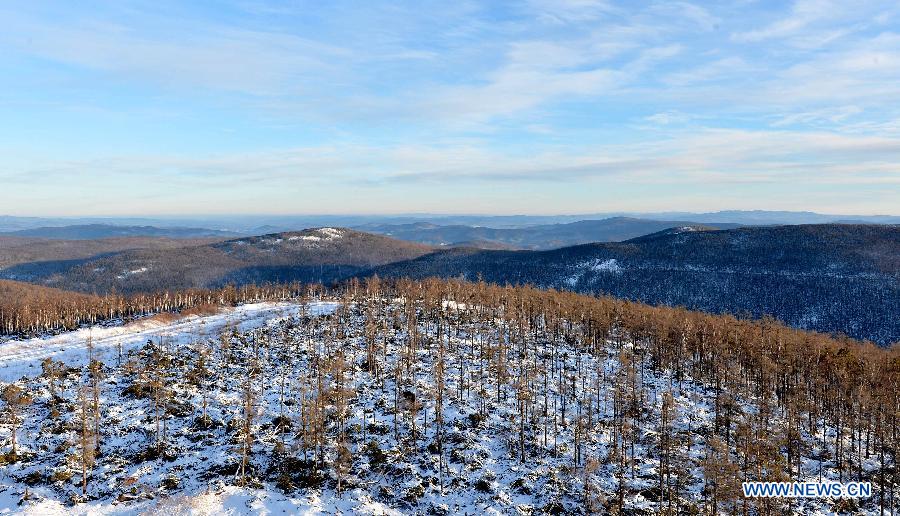 Photo taken on Dec. 29, 2014 shows the winter scenery of the Moridaga Forest Park in Dahinggan Mountain forest region in north China's Inner Mongolia Autonomous Region.