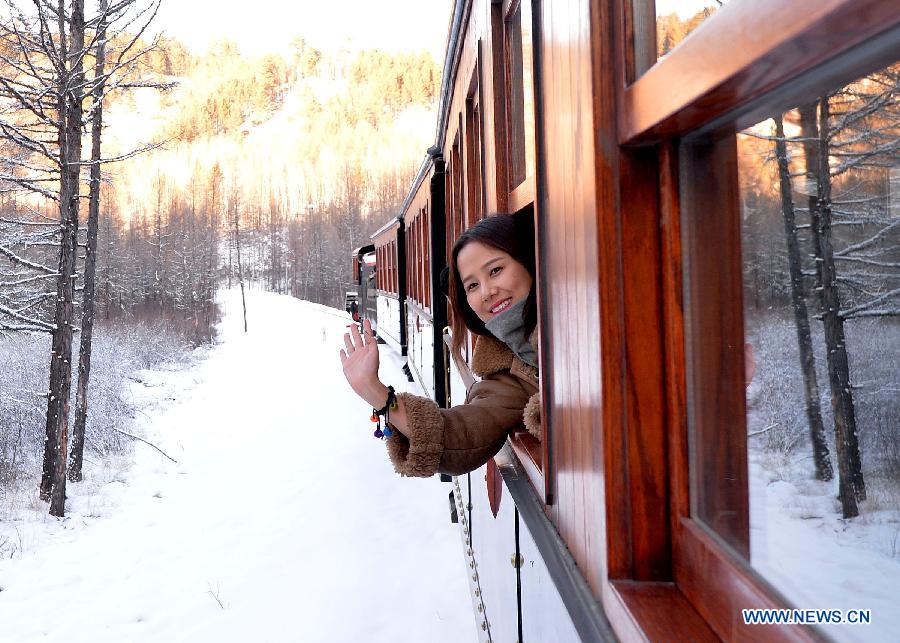 A tourist looks out from a window of the train running through the Moridaga Forest Park in Dahinggan Mountain forest region in north China's Inner Mongolia Autonomous Region, Dec. 28, 2014. 