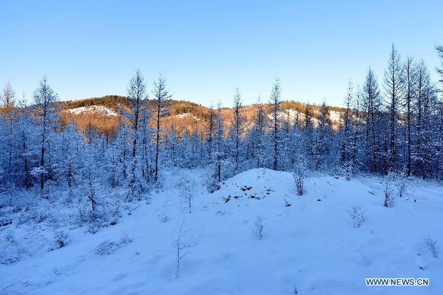 Photo taken on Dec. 28, 2014 shows the winter scenery of the Moridaga Forest Park in Dahinggan Mountain forest region in north China's Inner Mongolia Autonomous Region.