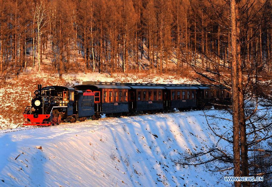 A tourist train runs in the Moridaga Forest Park in Dahinggan Mountain forest region in north China's Inner Mongolia Autonomous Region, Dec. 28, 2014. 