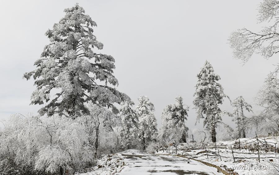 Many areas located in west and north Sichuan Province with high altitudes witnessed the first snow of 2015 on Tuesday, the Slight Cold, the 23rd solar term according to the traditional Chinese lunar calendar. 