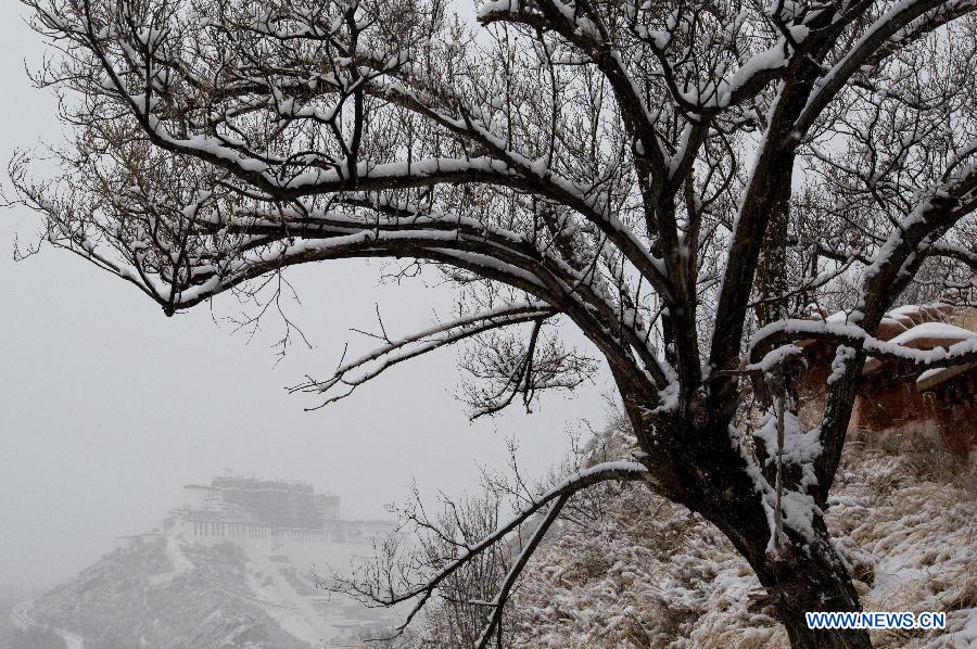 CHINA-LHASA-POTALA PALACE-SNOW SCENERY (CN)