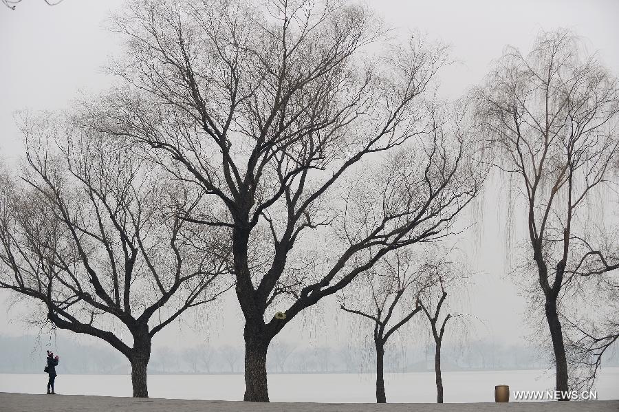 A tourist takes photos on the bank of Kunming Lake in the Summer Palace of Beijing, capital of China, Jan. 14, 2015. Beijing on Wednesday saw a snowfall while the city was enveloped by heavy smog. The city's meteorological station recorded snowfall of less than 1 millimeter in the morning, with the snow likely to continue into the evening. (Xinhua/Li Xin)