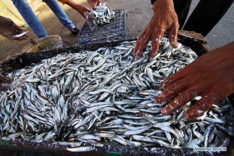 An Egyptian fish vendors display their produce at a street market at the fisher-town El Max in Alexandria, Egypt, on Jan. 31, 2015. 