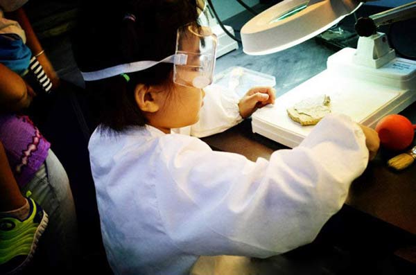 Science study trips gain popularity in China