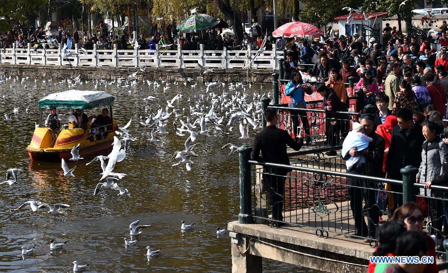 CHINA-YUNNAN-KUNMING-BLACK-HEADED GULLS (CN)