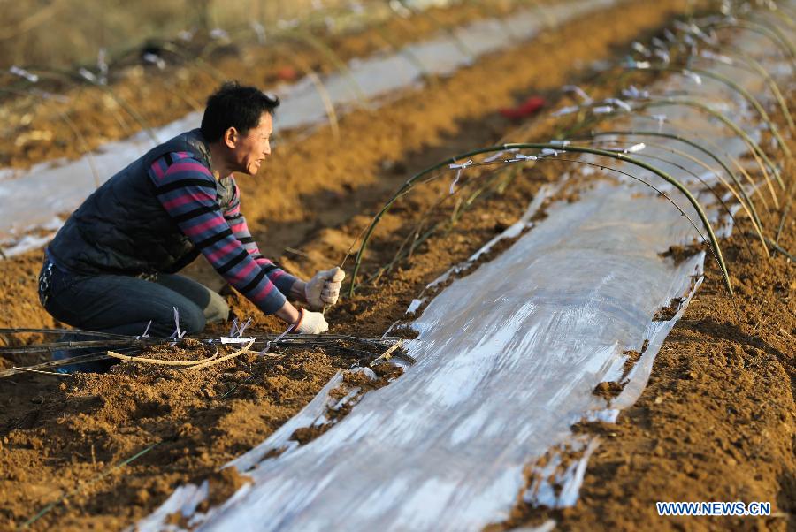 #CHINA-JIANGSU-FARMING (CN)