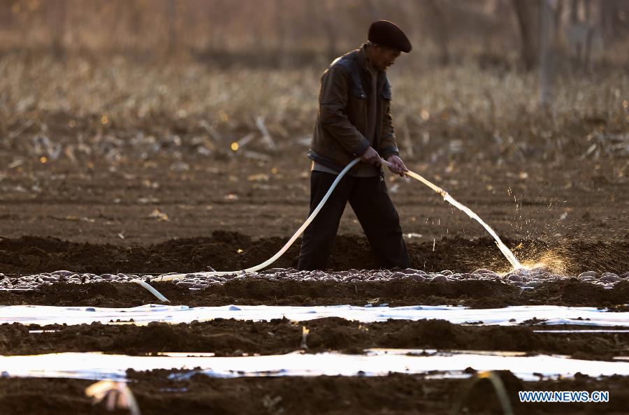 #CHINA-JIANGSU-FARMING (CN)