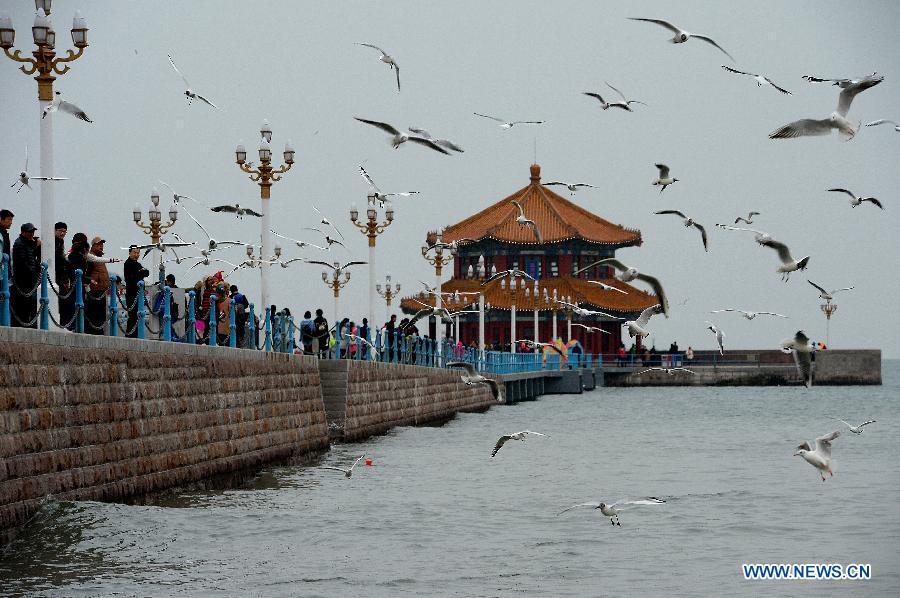 Residents and tourists view sea gulls in Qingdao City, east China's Shandong Province, April 6, 2015. Sea gulls here attracted visitors during the Qingming Festival holiday. (Xinhua/Feng Jie)