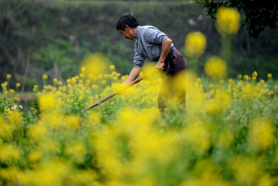 Culture Insider: Five Things you may not know about Grain Rain