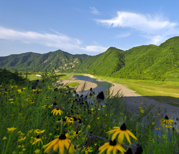 The East is green in frontier city steeped in feng shui