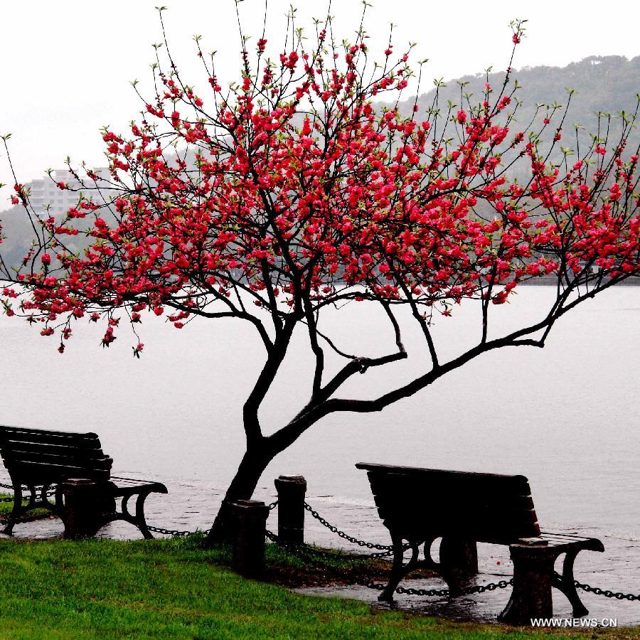 The lake was listed as a UNESCO World Cultural Heritage site in 2011, described as 'has influenced garden design in the rest of China as well as Japan and Korea over the centuries'. 