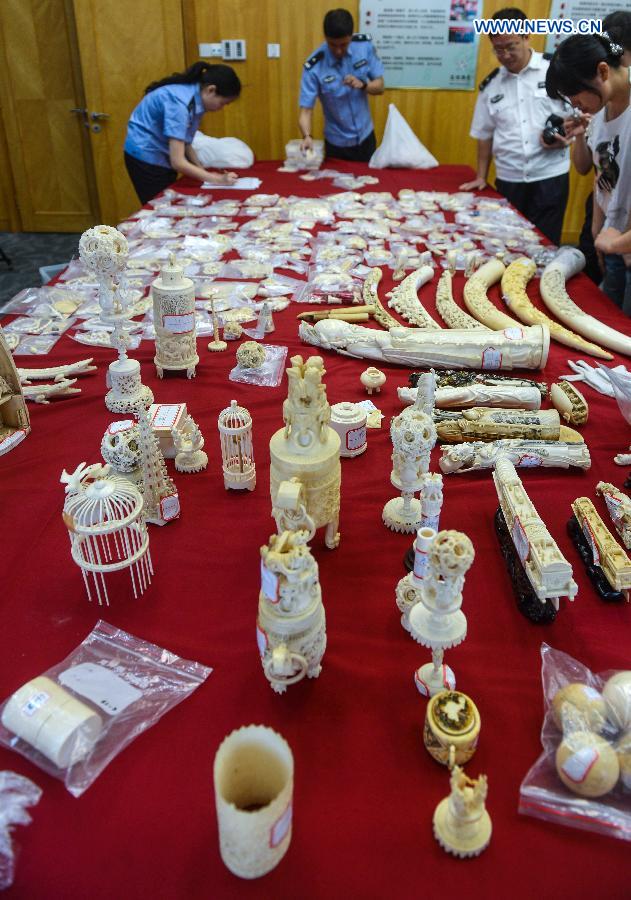 Photo taken on May 18, 2015 shows smuggled artworks made of ivory seized by members of Hangzhou Customs, in Hangzhou, east China's Zhejiang Province. Hangzhou Customs announced Thursday that they have seized over 270 kilograms smuggled ivory and about 9 kilograms rhino horn since June last year.