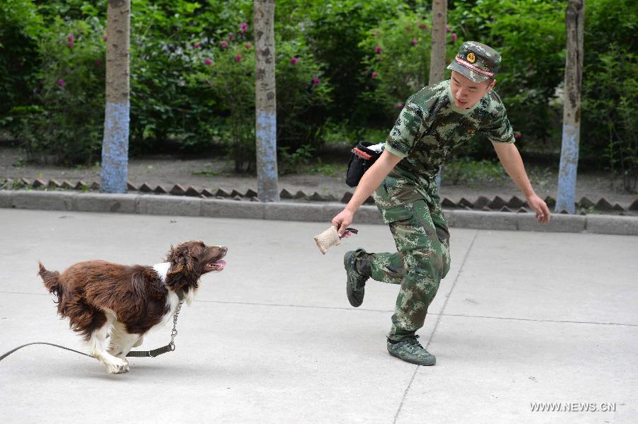 CHINA-HEILONGJIANG-HARBIN-POLICE DOG (CN)