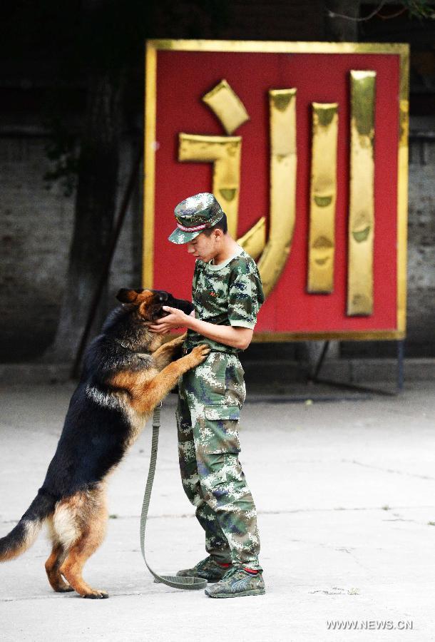 CHINA-HEILONGJIANG-HARBIN-POLICE DOG (CN)