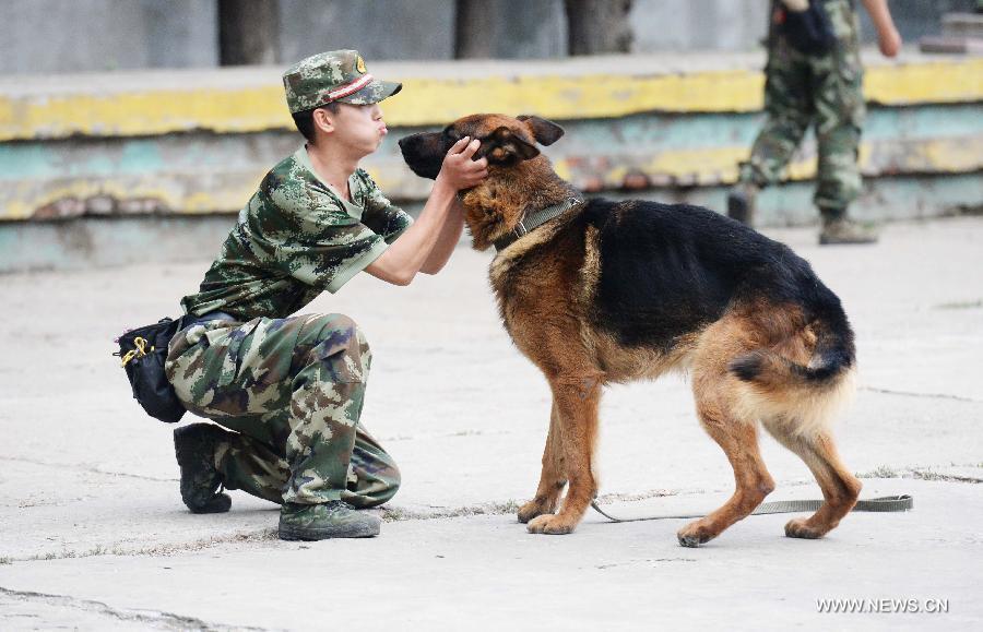 CHINA-HEILONGJIANG-HARBIN-POLICE DOG (CN)