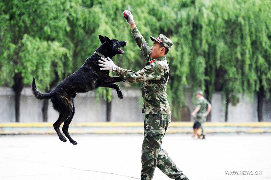 CHINA-HEILONGJIANG-HARBIN-POLICE DOG (CN)