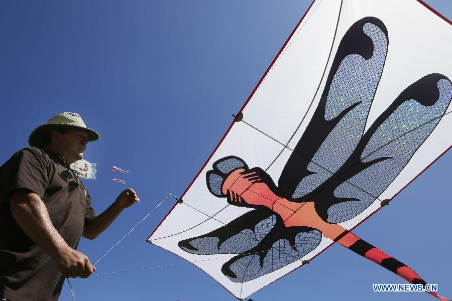 A kite enthusiast displays his self made kite during the kite festival at Vanier Park in Vancouver, Canada, June 13, 2015.