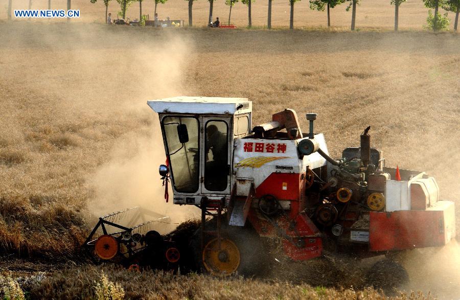 A combine harvester works in a wheat field in the south of Henan Province, central China, June 9, 2015. 