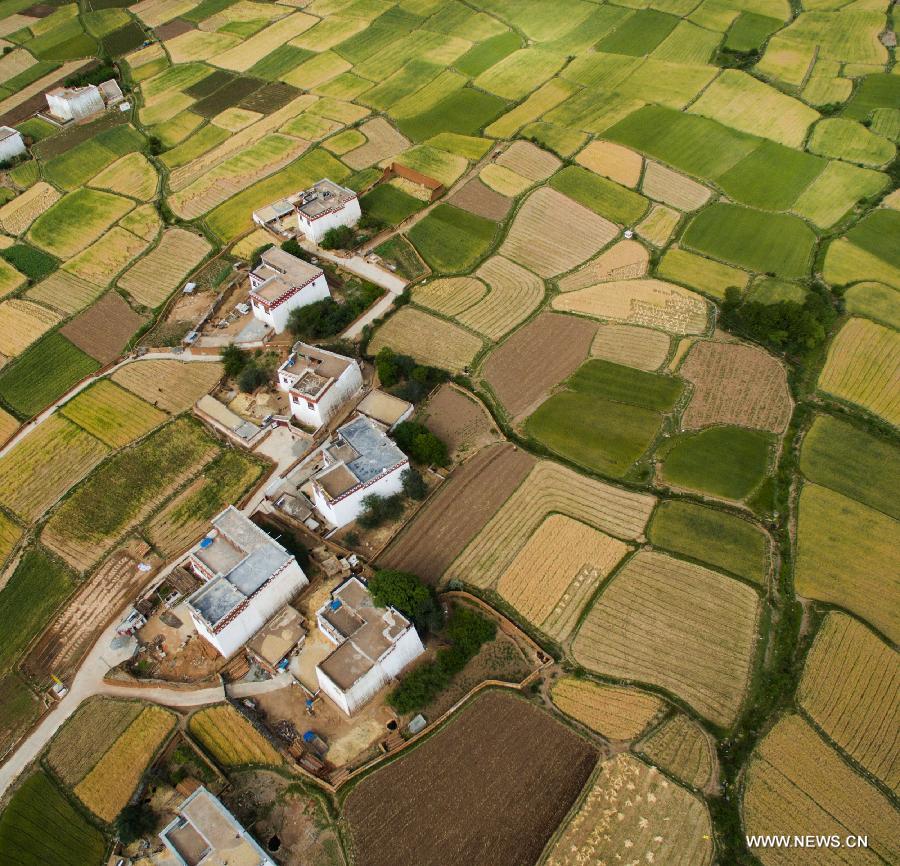 CHINA-SICHUAN-XIANGCHENG-COUNTRYSIDE SCENERY (CN)