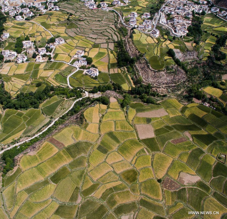 CHINA-SICHUAN-XIANGCHENG-COUNTRYSIDE SCENERY (CN)