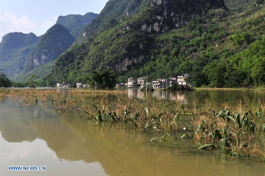 Crops are flooded at Longchang Village in Mashan County, southwest China's Guangxi Zhuang Autonomous Region, June 16, 2015.