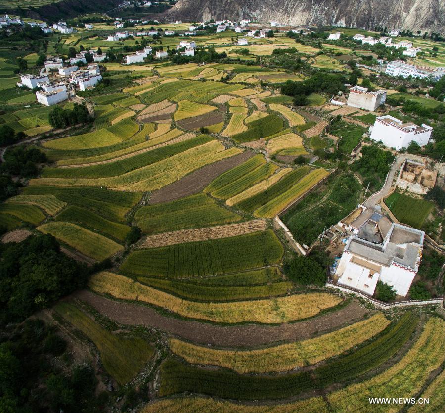 CHINA-SICHUAN-XIANGCHENG-COUNTRYSIDE SCENERY (CN)