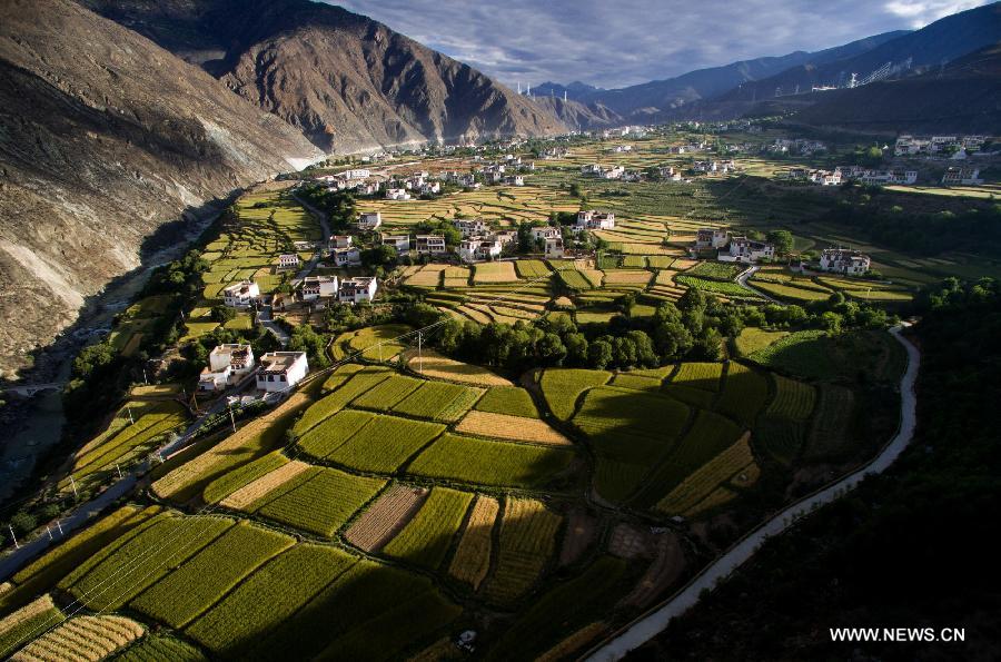 CHINA-SICHUAN-XIANGCHENG-COUNTRYSIDE SCENERY (CN)