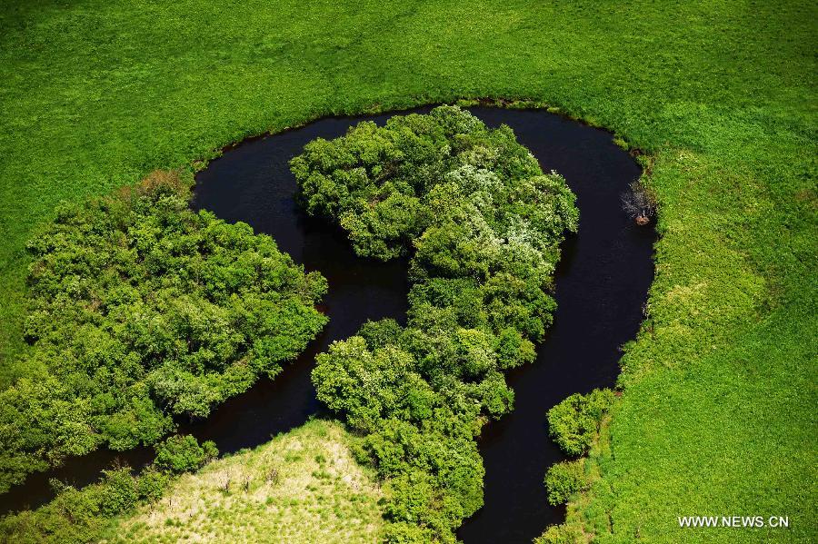 Photo taken on June 18, 2015 shows an aerial view of the Nanwenghe wetland in northeast China's Heilongjiang Province. Nanwenghe Nature Reserve, located in eastern Daxing'anling forest area, is the only protective wetland ecosystems in the cold temperate regions of China. 