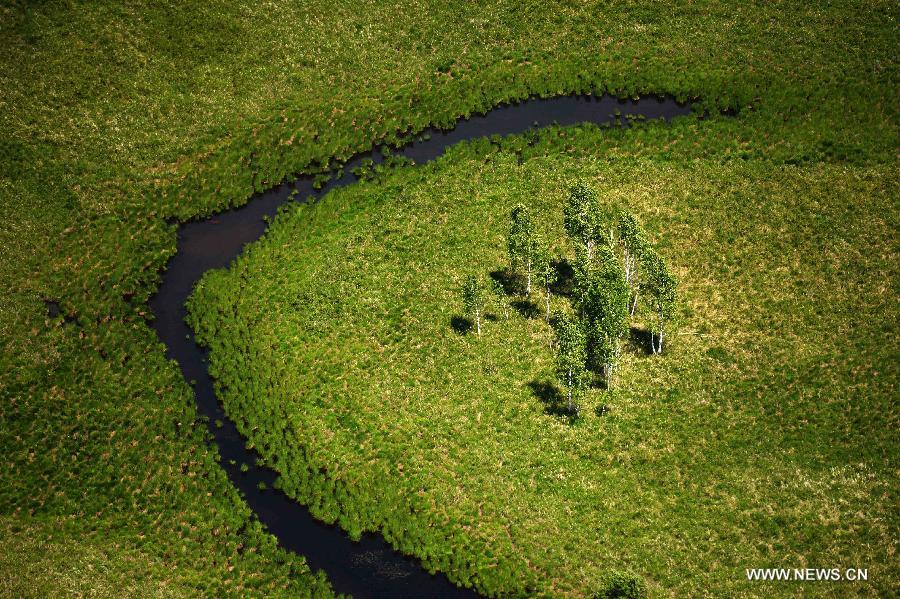 Photo taken on June 18, 2015 shows an aerial view of the Nanwenghe wetland in northeast China's Heilongjiang Province. Nanwenghe Nature Reserve, located in eastern Daxing'anling forest area, is the only protective wetland ecosystems in the cold temperate regions of China. 