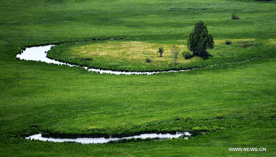 Photo taken on June 18, 2015 shows an aerial view of the Nanwenghe wetland in northeast China's Heilongjiang Province. Nanwenghe Nature Reserve, located in eastern Daxing'anling forest area, is the only protective wetland ecosystems in the cold temperate regions of China. 