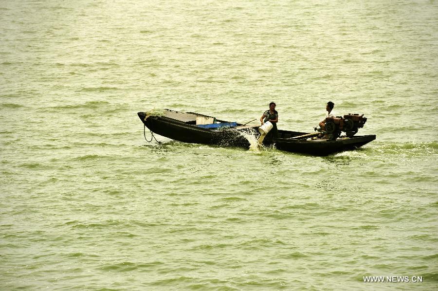 #CHINA-ANHUI-CHAOHU LAKE-BLUE-GREEN ALGAE(CN)