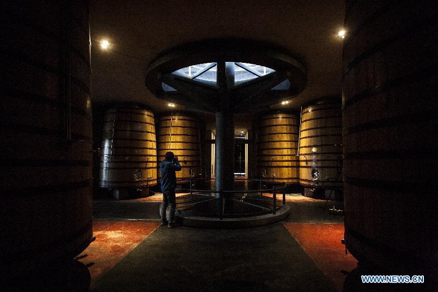 Image taken on June 24, 2015 shows a visitor taking a photograph in the O. Fournier Winery, in La Consulta city, Mendoza province, 1,170km away of Buenos Aires city, Argentina. 