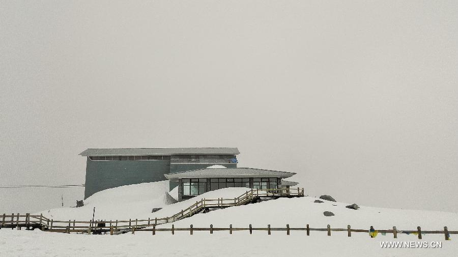  The Dagu glacier scenic spot is the newest tourist spot after the Jiuzhaigou Scenic Area, Huanglong Scenic Area and the Wolong National Nature Reserve in Aba.