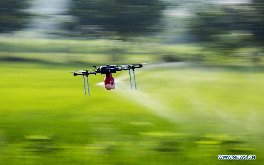 An unmanned aerial vehicle sprays pesticide in Shanfeng Village of Duchang County in Jiujiang City, east China's Jiangxi Province, July 2, 2015. 