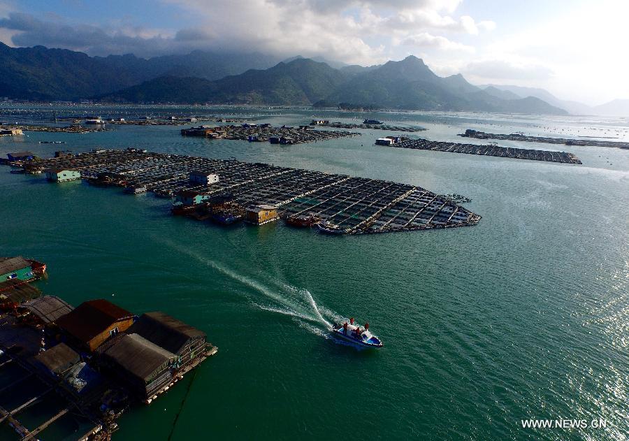 Local coast guard patrol at aquaculture area in Ningde, southeast China's Fujian Province, July 9, 2015.