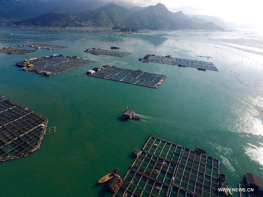 A log cabin is transfered at aquaculture area in Ningde, southeast China's Fujian Province, July 9, 2015.