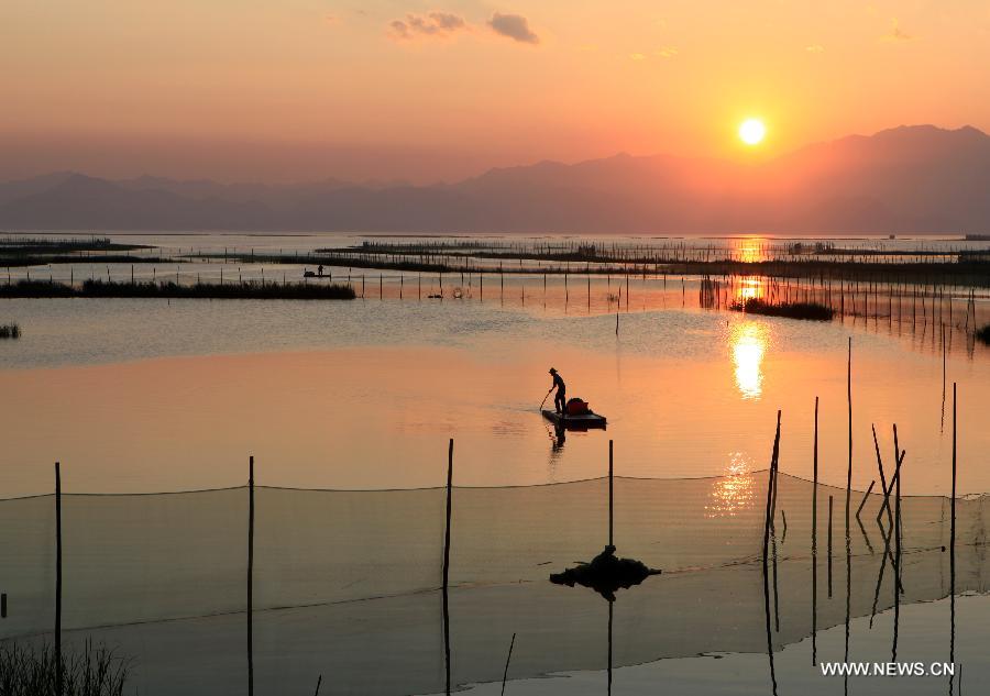 A fisherman works on a shoal used to raise crabs in Wenling, east China's Zhejiang Province, July 12, 2015.