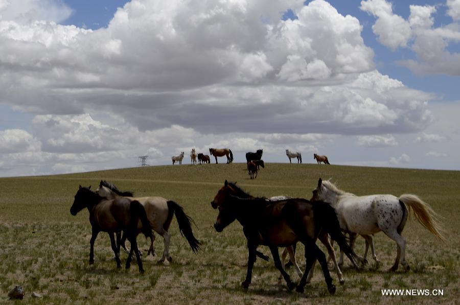 Photo taken on July 15, 2015 shows the scenery of clouds above prairie in Urad Middle Banner of Bayannur City, north China's Inner Mongolia Autonomous Region. 